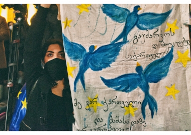 9 მარტის საპროტესტო აქცია #არარუსულკანონს - ლევან ხერხეულიძის ფოტოები