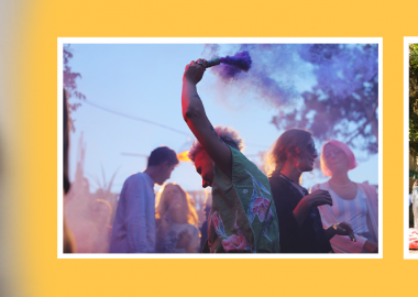 მიხო ნერგაძის ბლოგი - ამ დღეებში მზესუმზირაა