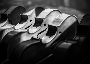 Close to Music - ონლაინ საგანმანათლებლო პლატფორმა