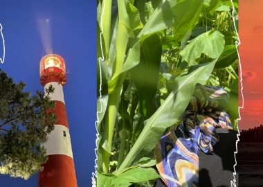 რას გავიგებ დღეს 12 - ფოთი, ინდუიზმი და აჭარული ბორანო