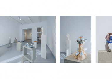 ანაბზინი ყინულის ტბაზე - მერაბ გუგუნაშვილის სოლო გამოფენა გალერეა 4710-ში