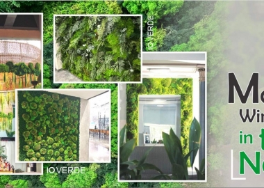 „იოვერდე“ - გამორჩეულად სანდო ხაზი მწვანე სივრცის მოყვარულთათვის