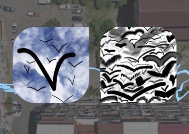 მე ვარ თოლია და არ მესმის ტალღების ხმა