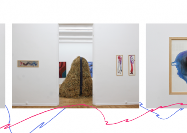 ნესტან მიქელაძის გამოფენა “კორიდორში” -  DE INTUS