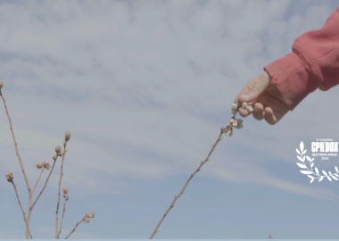 “ლურჯი მოცვი” - ოდა სიყვარულისა