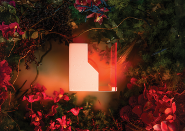 სინათლე როგორც შთაგონების წყარო - Zeekr საქართველოს კოლაბორაცია NS Product-თან