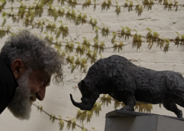 ქართველი არტისტი - ზურა -  ჩრდილოეთის თეთრი მარტორქების გადასარჩენად