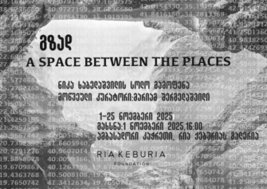 ნიკა ხაბელაშვილის პერსონალური სახელოვნებო პროექტი - გზად: A Space Between The Places